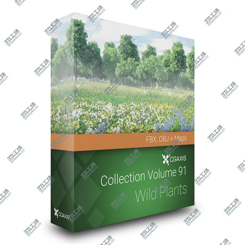 images/goods_img/202105071/3D Wild Plants 3D Models Collection FBX OBJ model/1.jpg